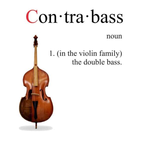 dictionary-contrabass